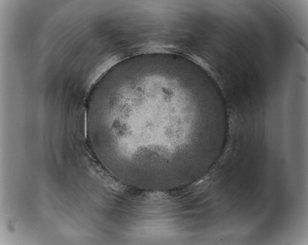 X0000101701219200807101529