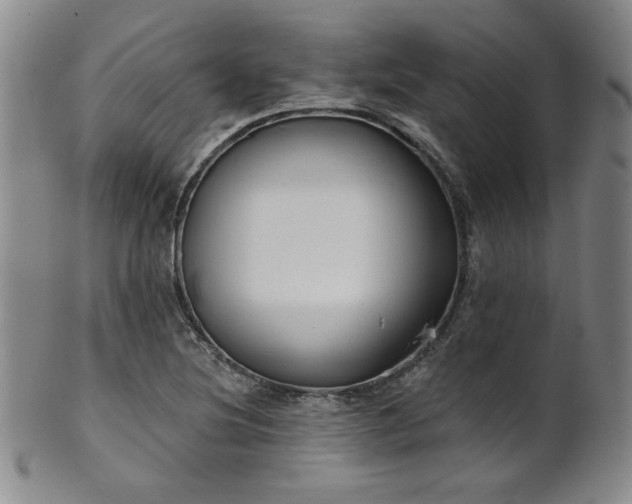 X0000101701220200807101529