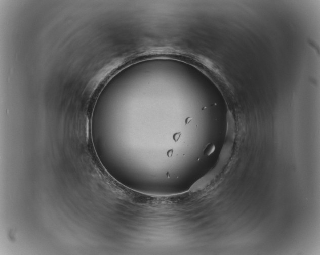 X0000101701221200807101529