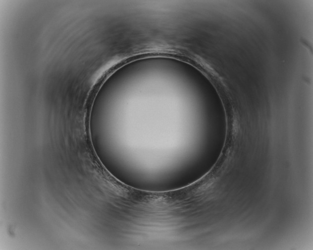 X0000101701222200807101529