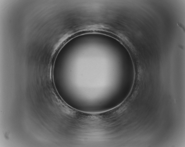 X0000101701224200807101529