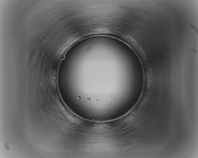 X0000101701225200807101529