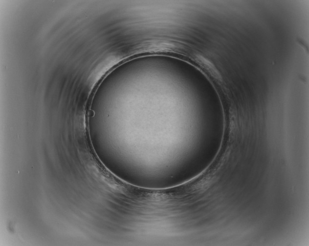 X0000101701226200807101529