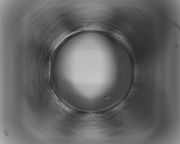 X0000101701228200807101529