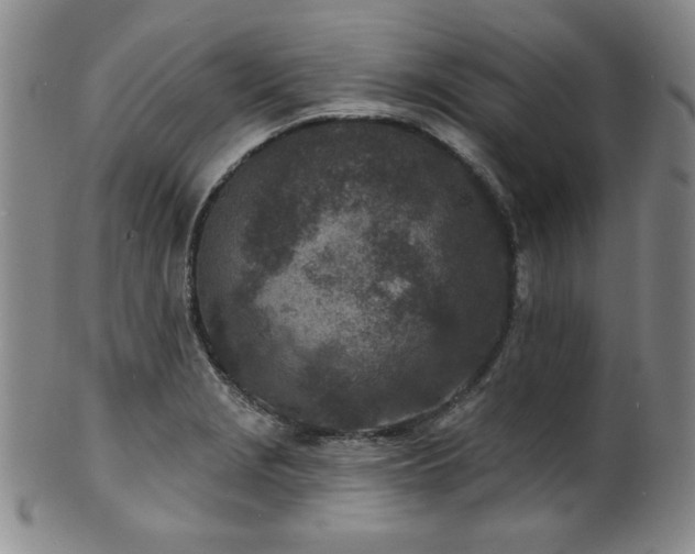 X0000101701229200807101529