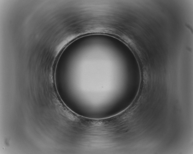 X0000101701230200807101529