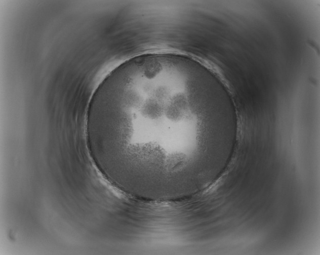 X0000101701231200807101529