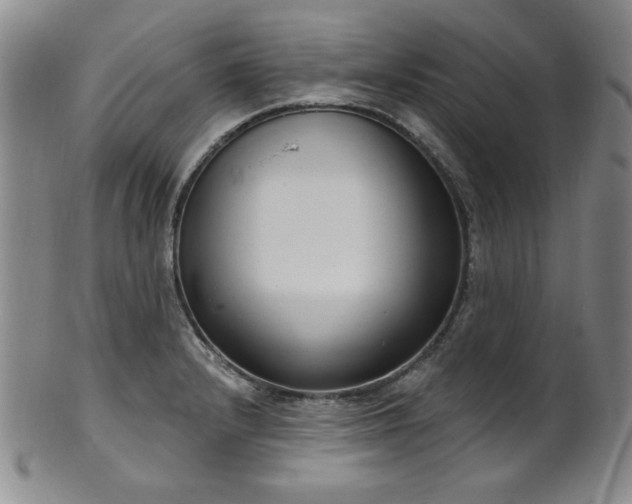 X0000101701232200807101529