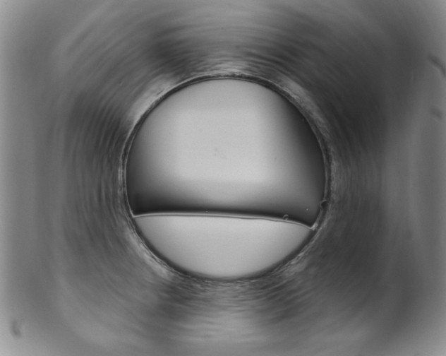X0000101701234200807101529