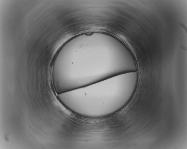 X0000101701235200807101529