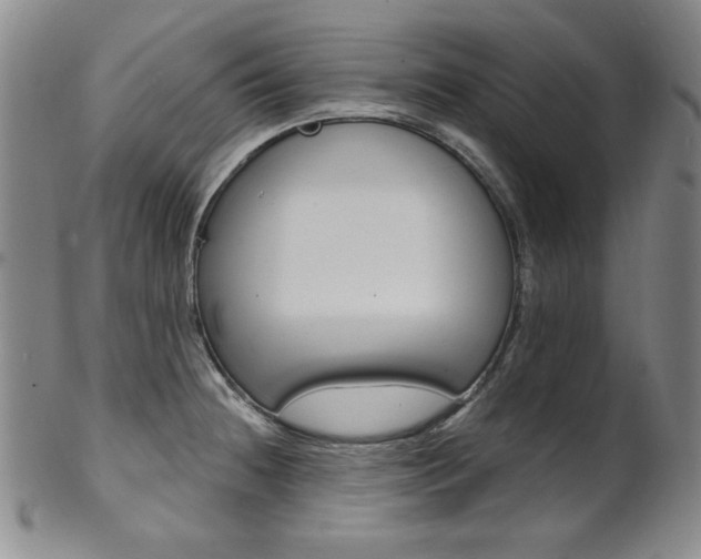 X0000101701236200807101529