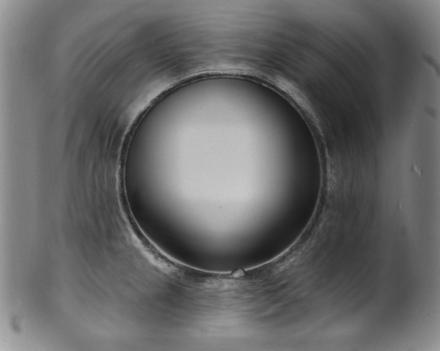 X0000101701237200807101529