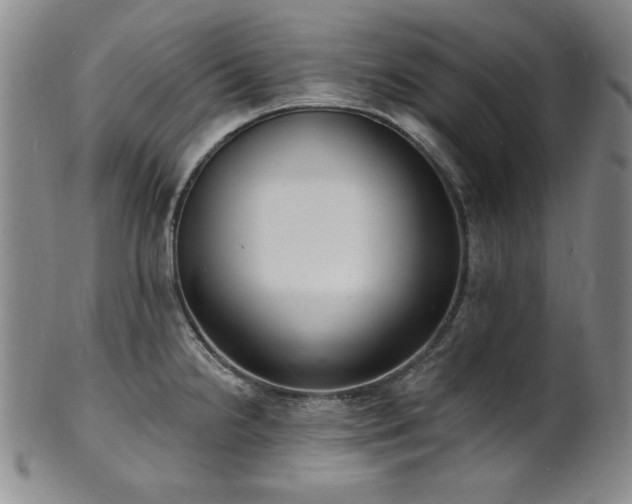 X0000101701238200807101529