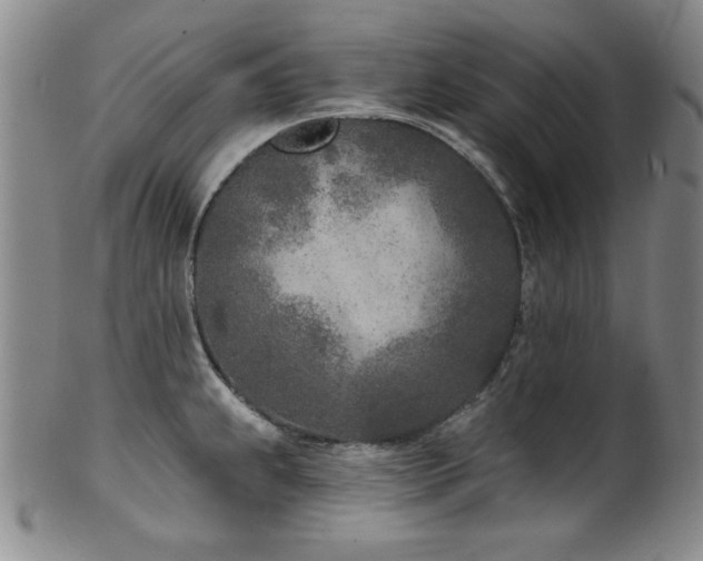 X0000101701239200807101529