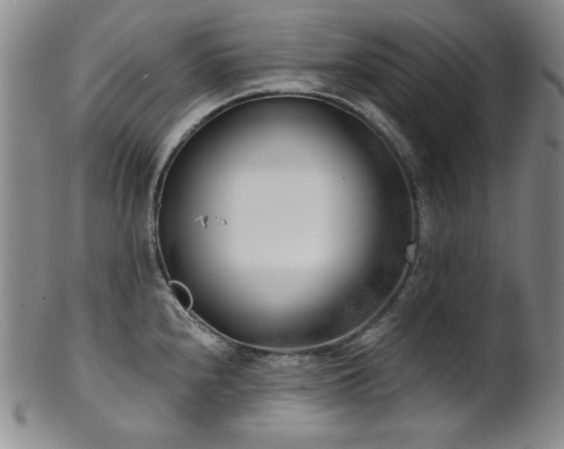 X0000101701240200807101529