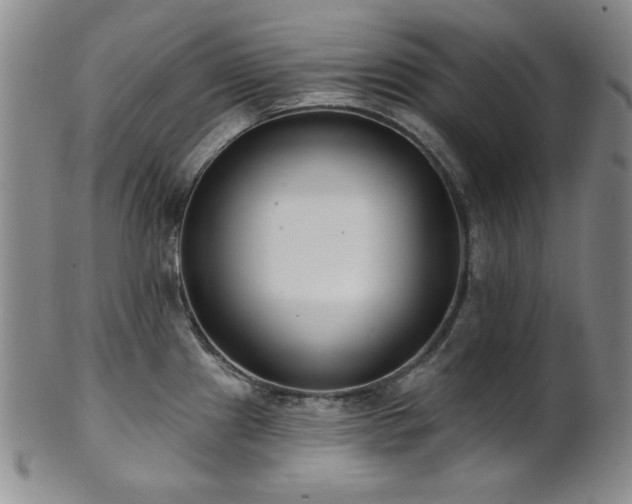X0000101701241200807101529
