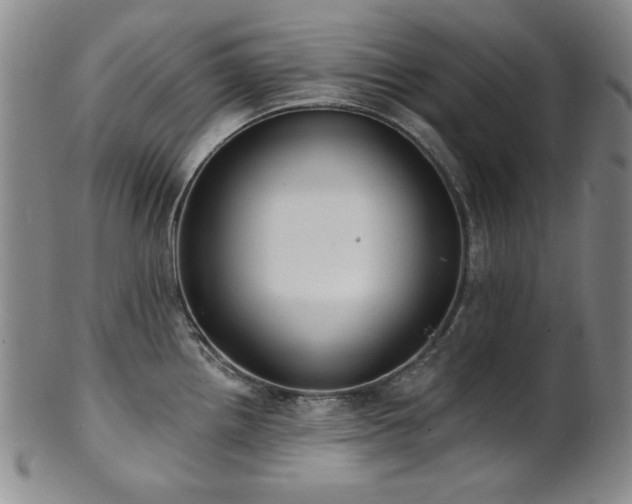 X0000101701242200807101529
