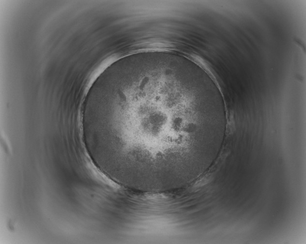 X0000101701243200807101529