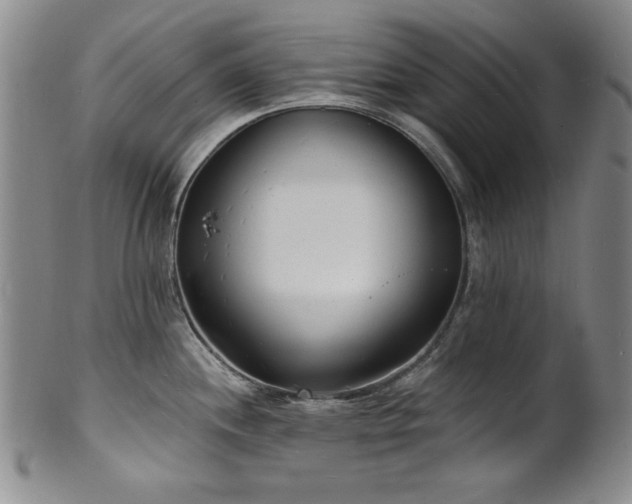 X0000101701244200807101529