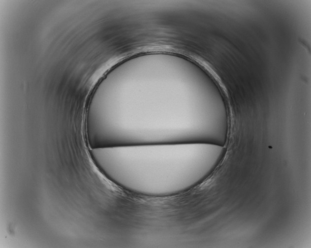 X0000101701245200807101529