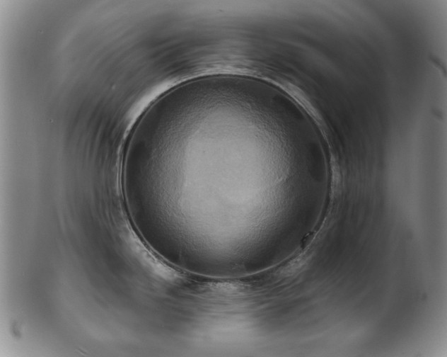 X0000101701246200807101529
