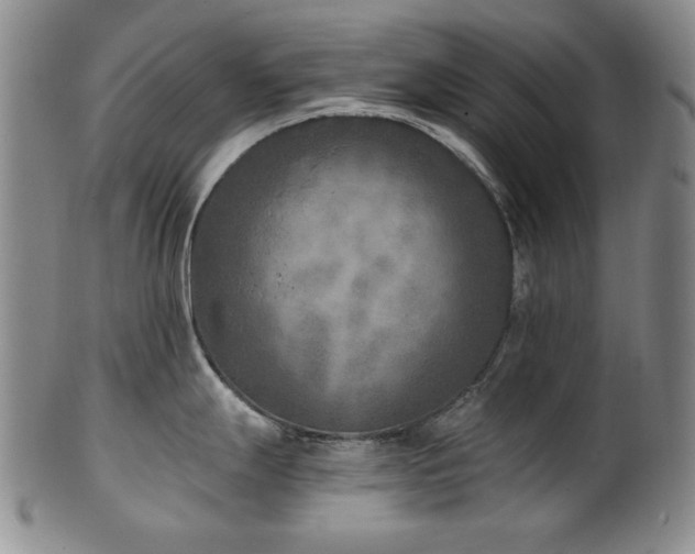 X0000101701247200807101529