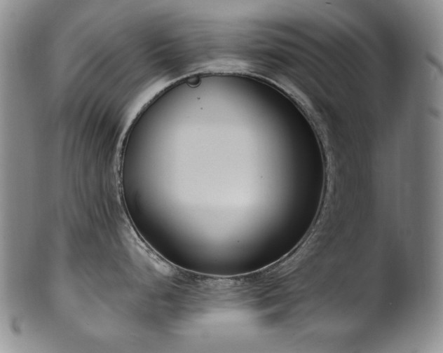 X0000101701248200807101529