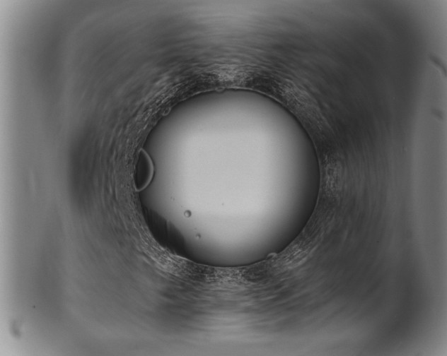X0000101701249200807101528