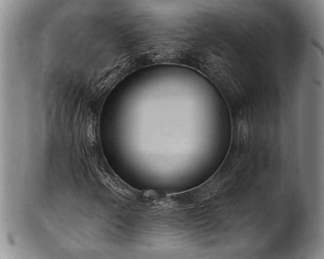 X0000101701250200807101528