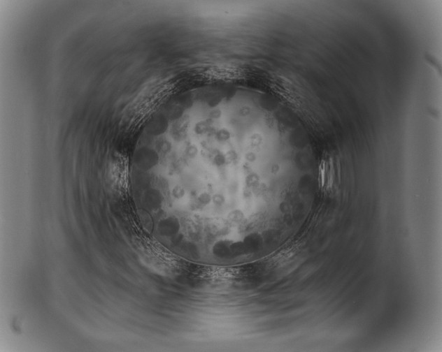 X0000101701251200807101528