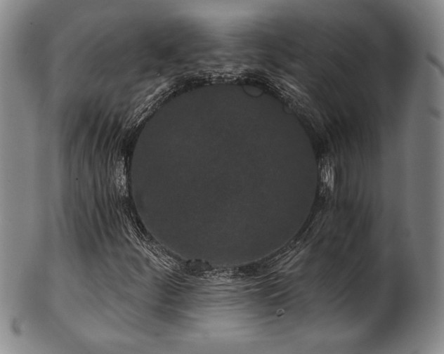 X0000101701252200807101528