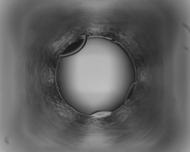 X0000101701253200807101528
