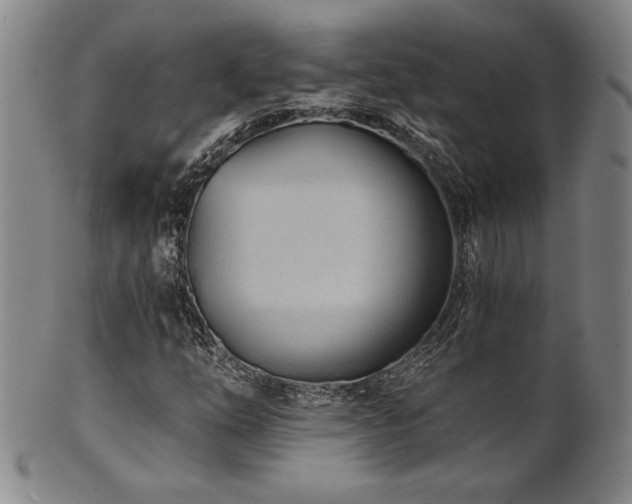 X0000101701254200807101528