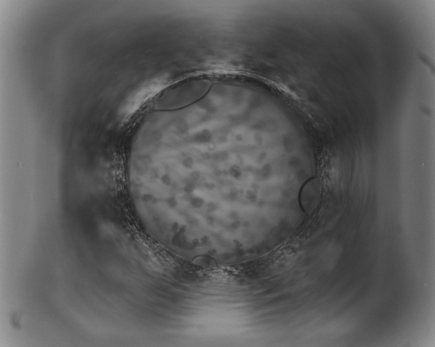 X0000101701255200807101528