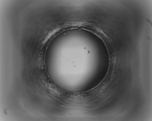 X0000101701256200807101528