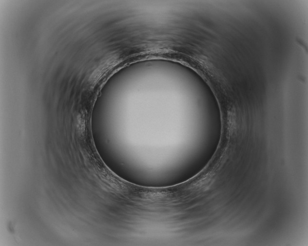 X0000101701257200807101528