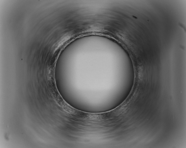 X0000101701258200807101528