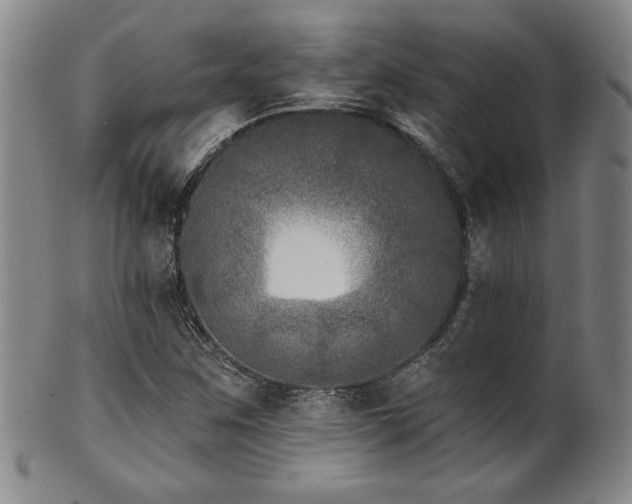 X0000101701259200807101528