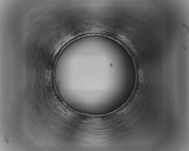 X0000101701260200807101528