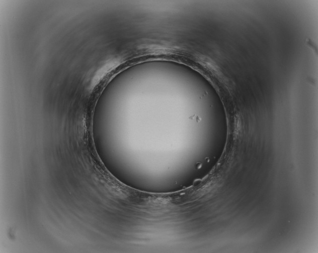 X0000101701261200807101528