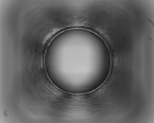 X0000101701262200807101528
