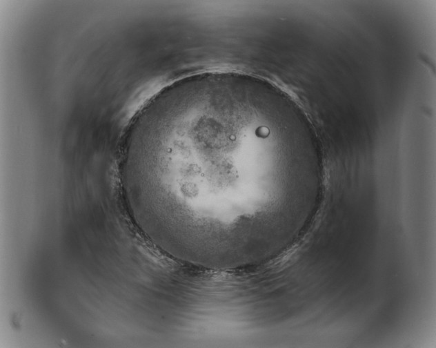X0000101701263200807101528