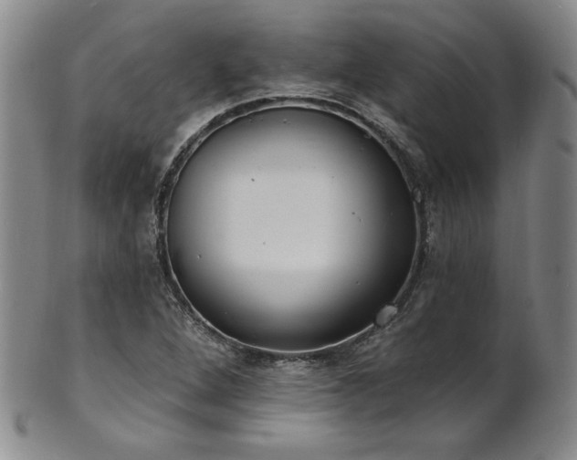 X0000101701264200807101528