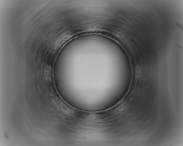 X0000101701265200807101528