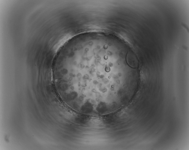 X0000101701267200807101528