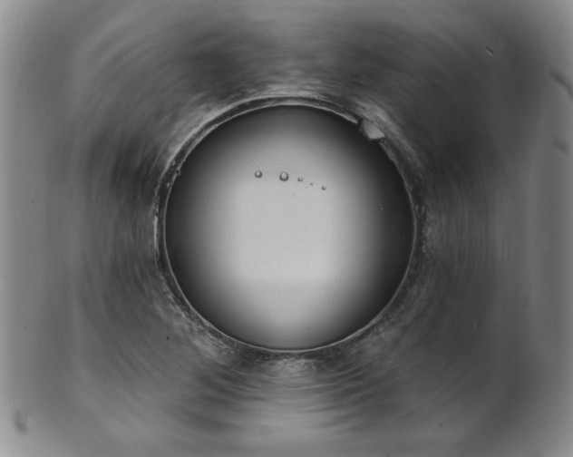 X0000101701268200807101528