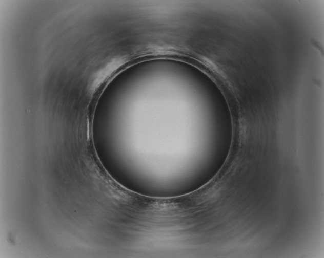 X0000101701269200807101528