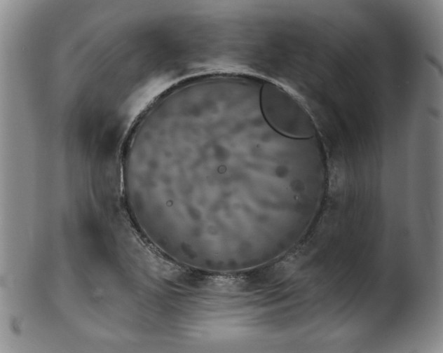 X0000101701271200807101528