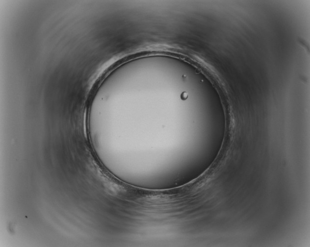 X0000101701272200807101528
