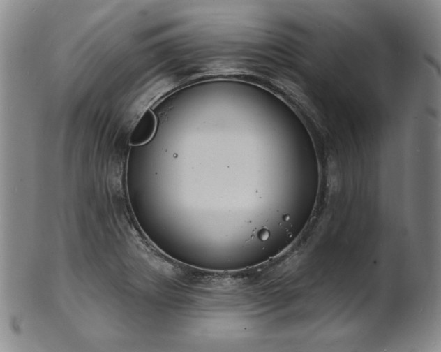 X0000101701273200807101528
